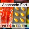 Anaconda Strong new01